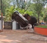 Wild Elephant Attacks And Destroys Car In Fit Of Rage