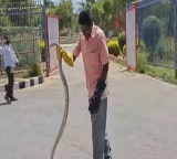 Massive snake in Tirumala Devotees terrified
