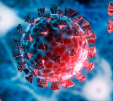 COVID19 stir in Andhra Pradesh as two die with symptoms in Kadapa and Rajampeta
