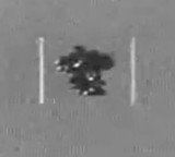 Aliens on Earth America releases sensational videos