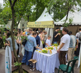 Indian mangoes to arrive in Russian stores, Embassy organises festival