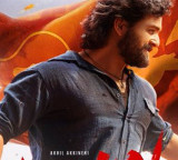 Akhil Akkineni Lenin movie creates record box office collections in two days