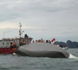 Vietnam orders detailed probe into boat tragedy that killed 15 Indians