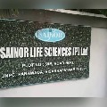 orders issued close sainor life sciences