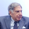 tata on killing elephant