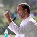 Delhi Congress resolution to elect Rahul Gandhi as party national president 