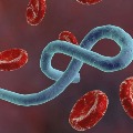 Ebola virus spreading across congo river