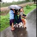 Video of kids in an umbrella viral on Social Media