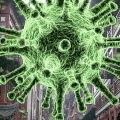 no corona virus cases in newzealand 