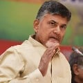 TDP Supremo Chandrababu Naidu shot another letter to AP DGP