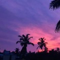 After Amphan dispatched sky in Bhubaneswar turned pink and purple