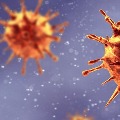 AP Corona Virus update