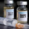 Russia prime minister says four vaccines proved safe for humans 