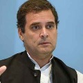  Future Harvard case studies on failure says rahul