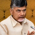 TDP Chief Chandrababu video conference with leaders