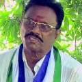 ycp mla tests corona positive