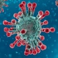 Effect of corona virus is less on children reveals a survey