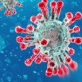 coronavirus cases in india