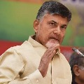 Chandrababu said TDP launches a website to solve corona issues