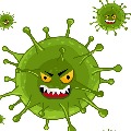 ap corona virus statistics and details