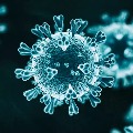 Corona virus spreading slowdowns gradually in AP