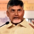 chandrababu casts vote