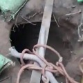 Tunnel Found in Jammu and Kashmir Suspecting used by Terrorists to Cross Border