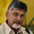 YSRCP Govt is playing with peoples health says Chandrababu