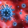 Coronavirus cases found in many schools of AP