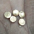 Gold coins appears at Hosur