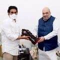 AP CM YS Jagan meets Amit shah in Delhi