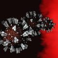 there is danger from virus mutations