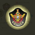 AP Police department thanked Chiranjeevi
