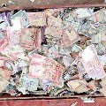 5 lakh rupees destroyed by Termites in krishna dist
