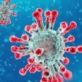 Biggest single day jump in coronavirus cases in India 