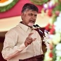 Chandrababu says minister Peddireddy should take responsibility for elections offences 