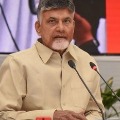 chandra babu slams ycp