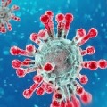 coronavirus cases in india