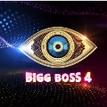 Bigg Boss host Nagarjuna announces double elimination this week
