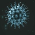 AP Corona Virus spreading updates 