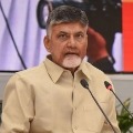 One year is full of mistakes Chandrababu fires on Jagan