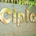 Cipla announces corona virus treatment drug