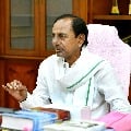 CM KCR reviews on new revenue system in Telangana