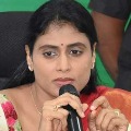 Telangana Reddy JAC supports YS Sharmila