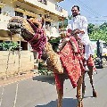 Congress leader Harsh Kumar ride on camel