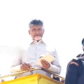 TDP cadre wants Jr NTR in election campaign 