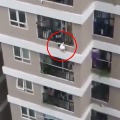Delivery Driver Catches Toddler Who Fell From 12th Storey