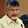 chandrababu slams ycp