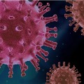 AP Corona Virus Cases Update