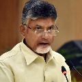 chandrababu express condolence over MPs son demise 